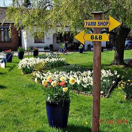 Model Farm * בראדפורד