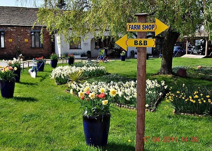 Model Farm * Брадфорд