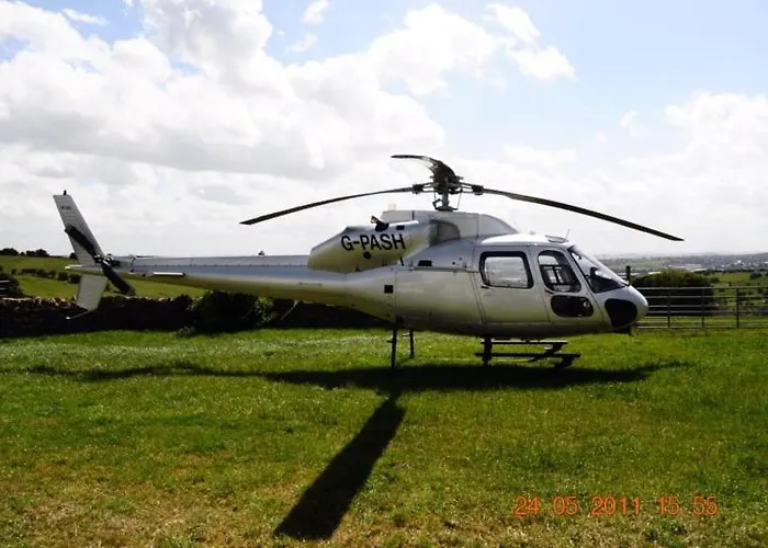 模范农场住宿加早餐酒店 农家乐 *