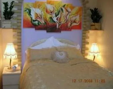 模范农场住宿加早餐酒店 *