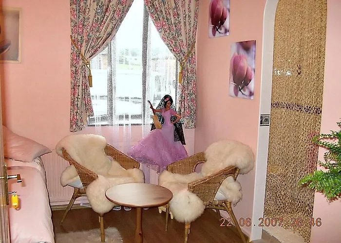 模范农场住宿加早餐酒店 农家乐 *