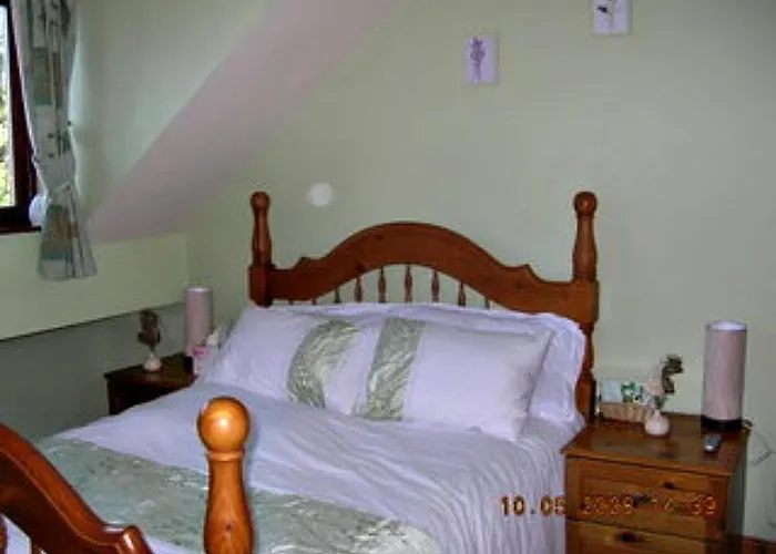 模范农场住宿加早餐酒店 *